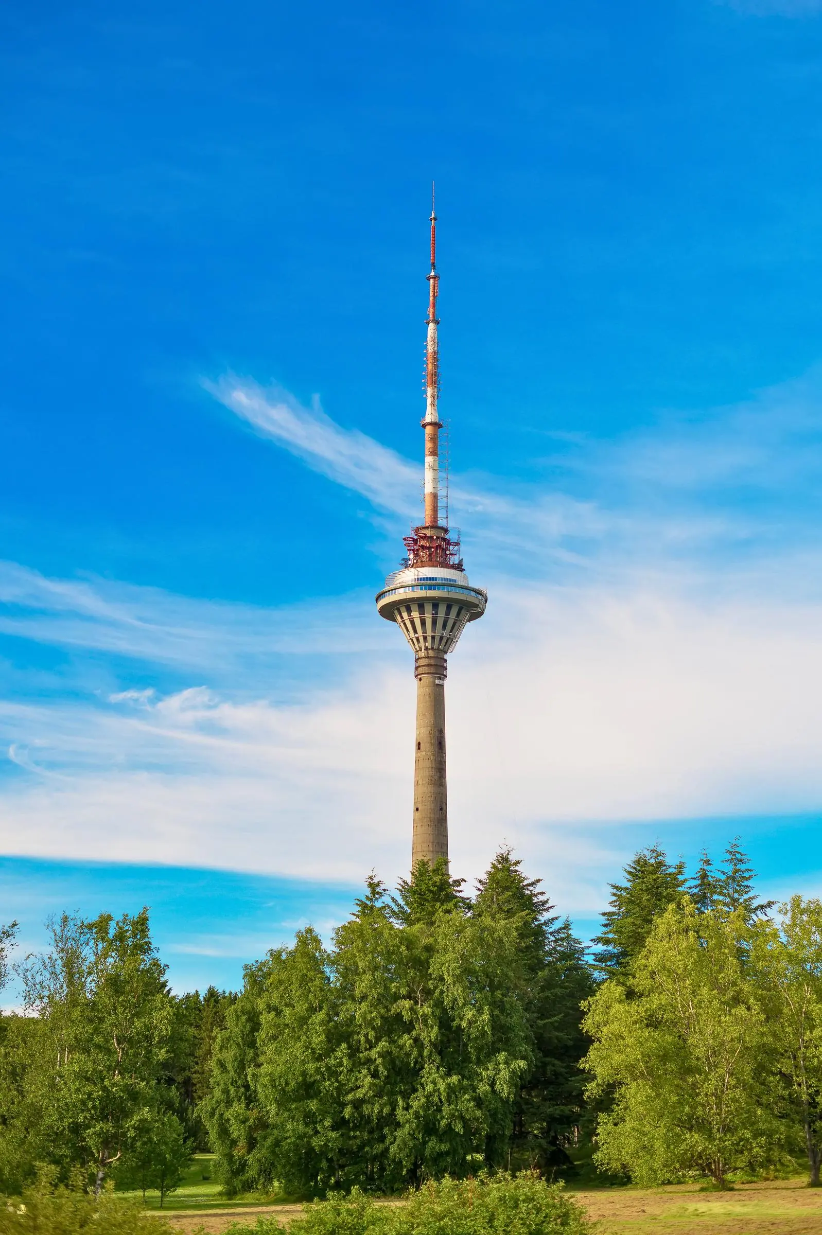 Tallinn TV Tower Exterior The Tallinn TV Tower rising above the pine forests of Pirita