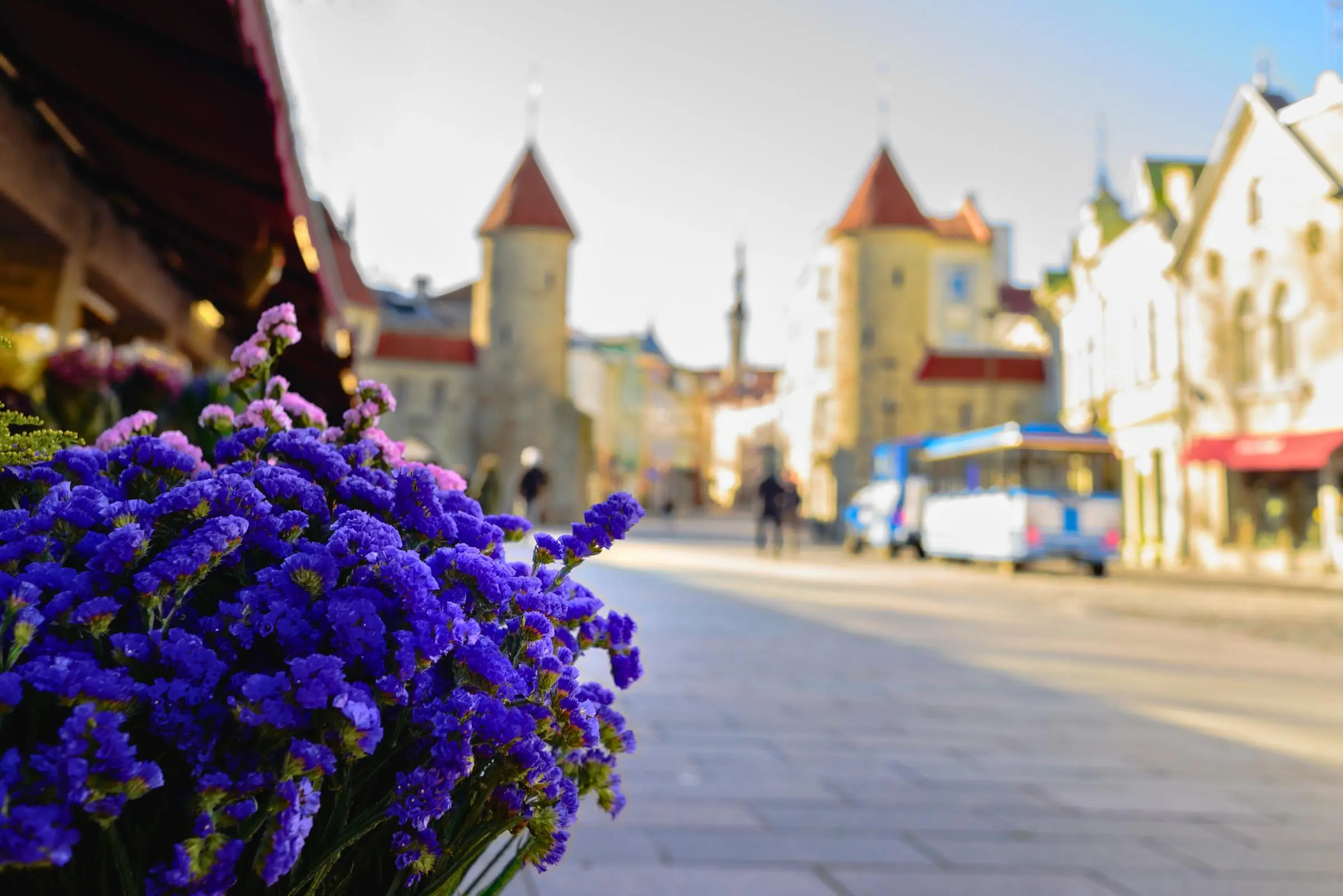 View from Flower Market
